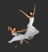 White Crane Soft Qigong