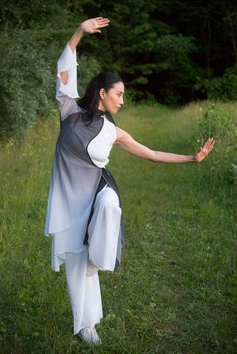 Taiji Stick for Vitality, Flexibility and Strength