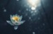 Qigong In Bed Online Series 