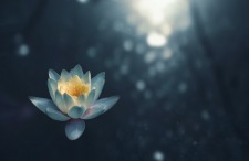 Qigong In Bed Online Series 