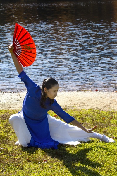 Qigong Workshops on Zoom