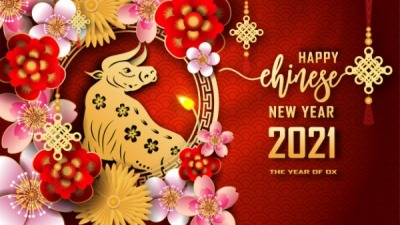 Chinese Lunar New Year