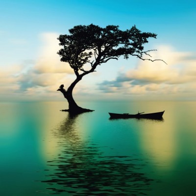 Zhan Zhuang-Tree Stance Meditation